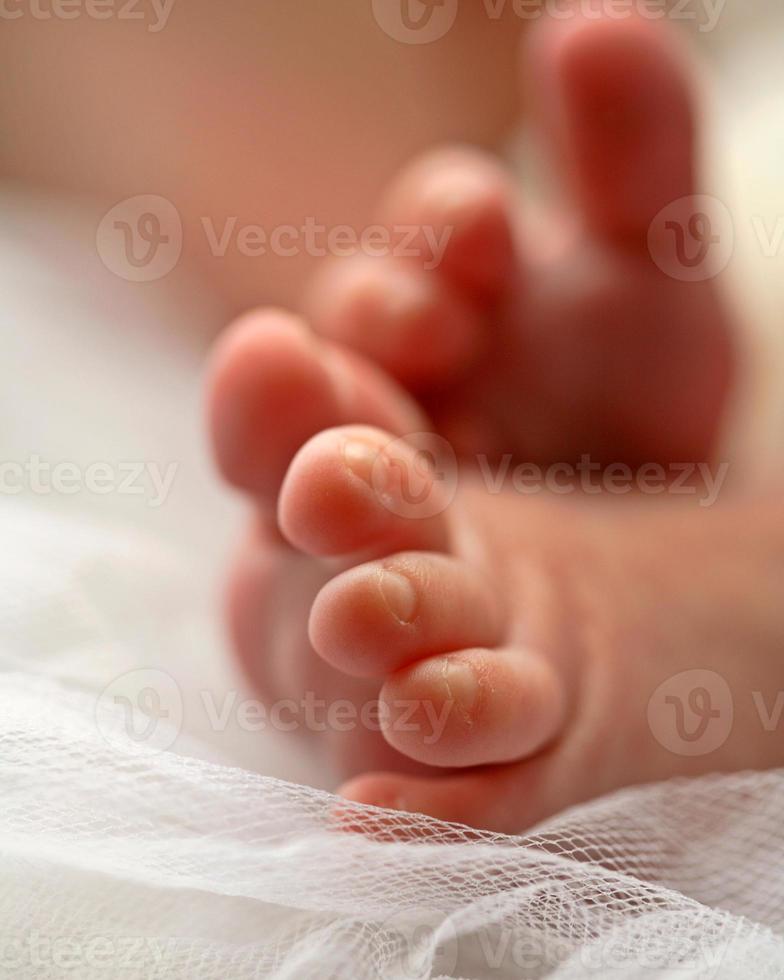 los pies del bebé fotografiados por el estudio mcmaster en la mandíbula de alce foto