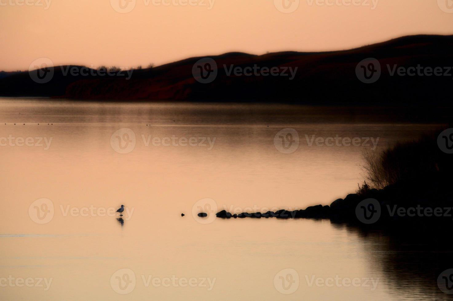 Buffalo Pound Lake at sunset in scenic Saskatchewan photo