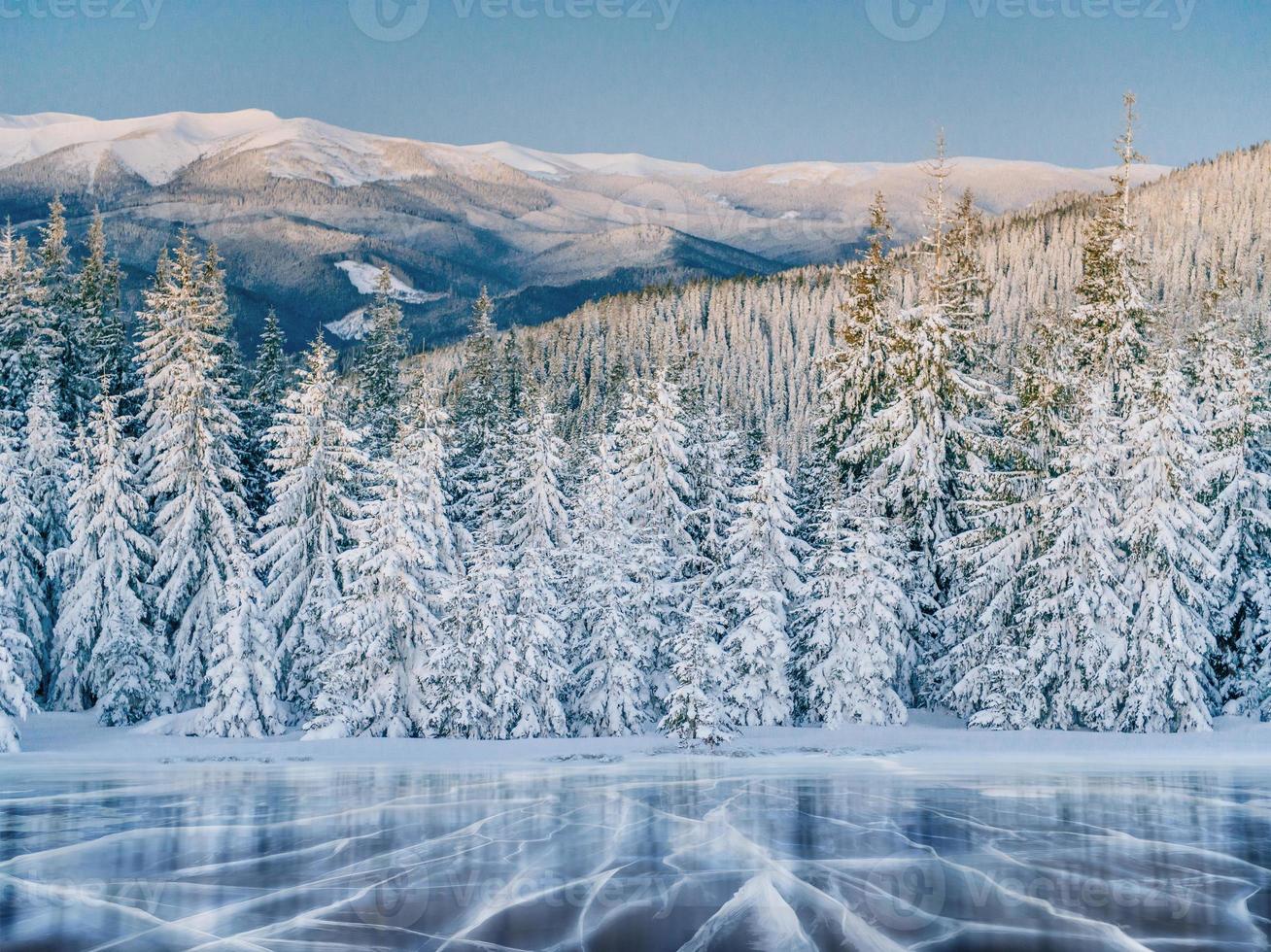 hielo azul y grietas en la superficie del hielo. lago congelado bajo un cielo azul en invierno. las colinas de pinos. invierno. cárpatos, ucrania, europa foto