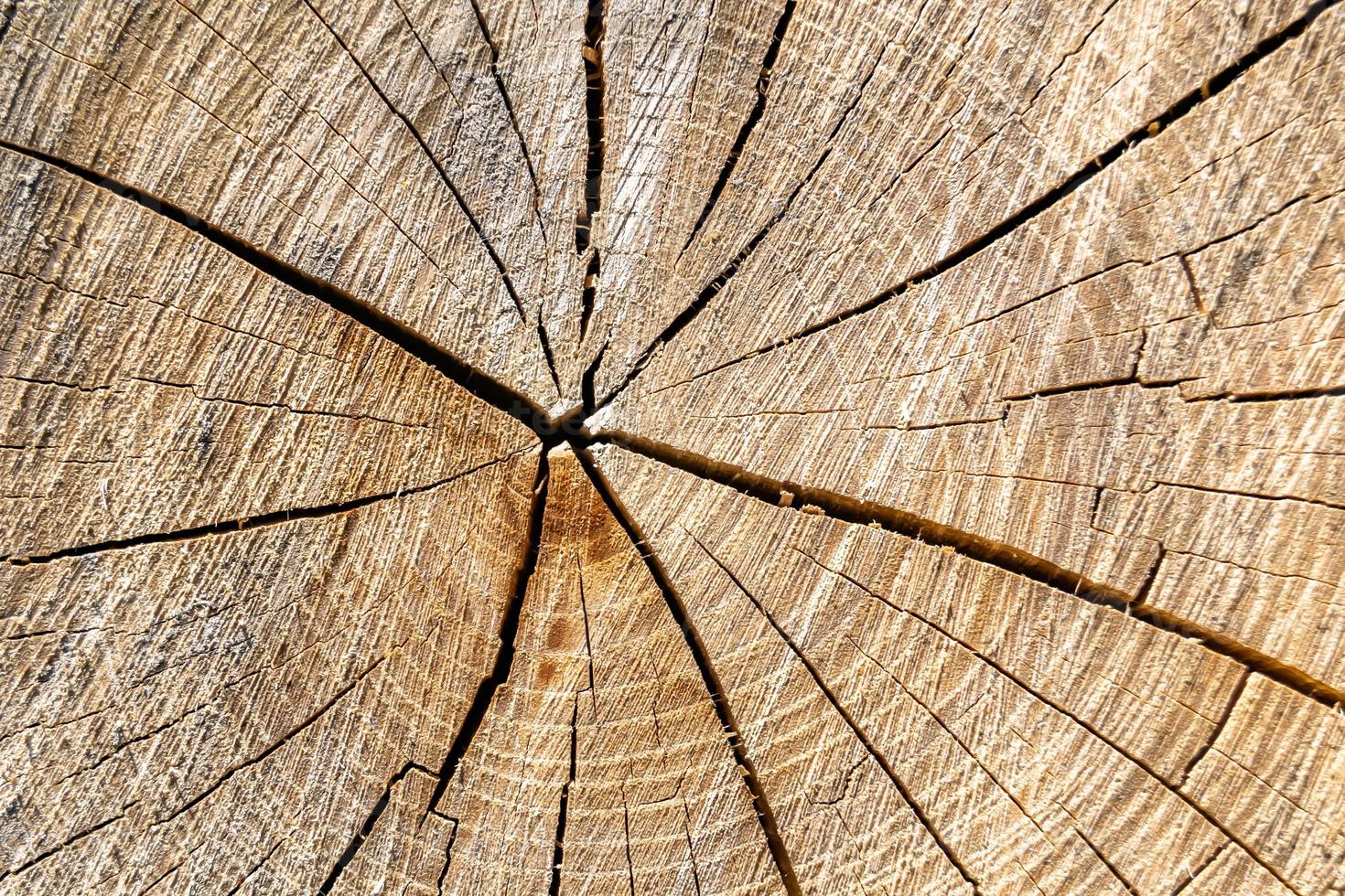 hermosa fractura de madera de roble viejo, textura natural de cerca foto