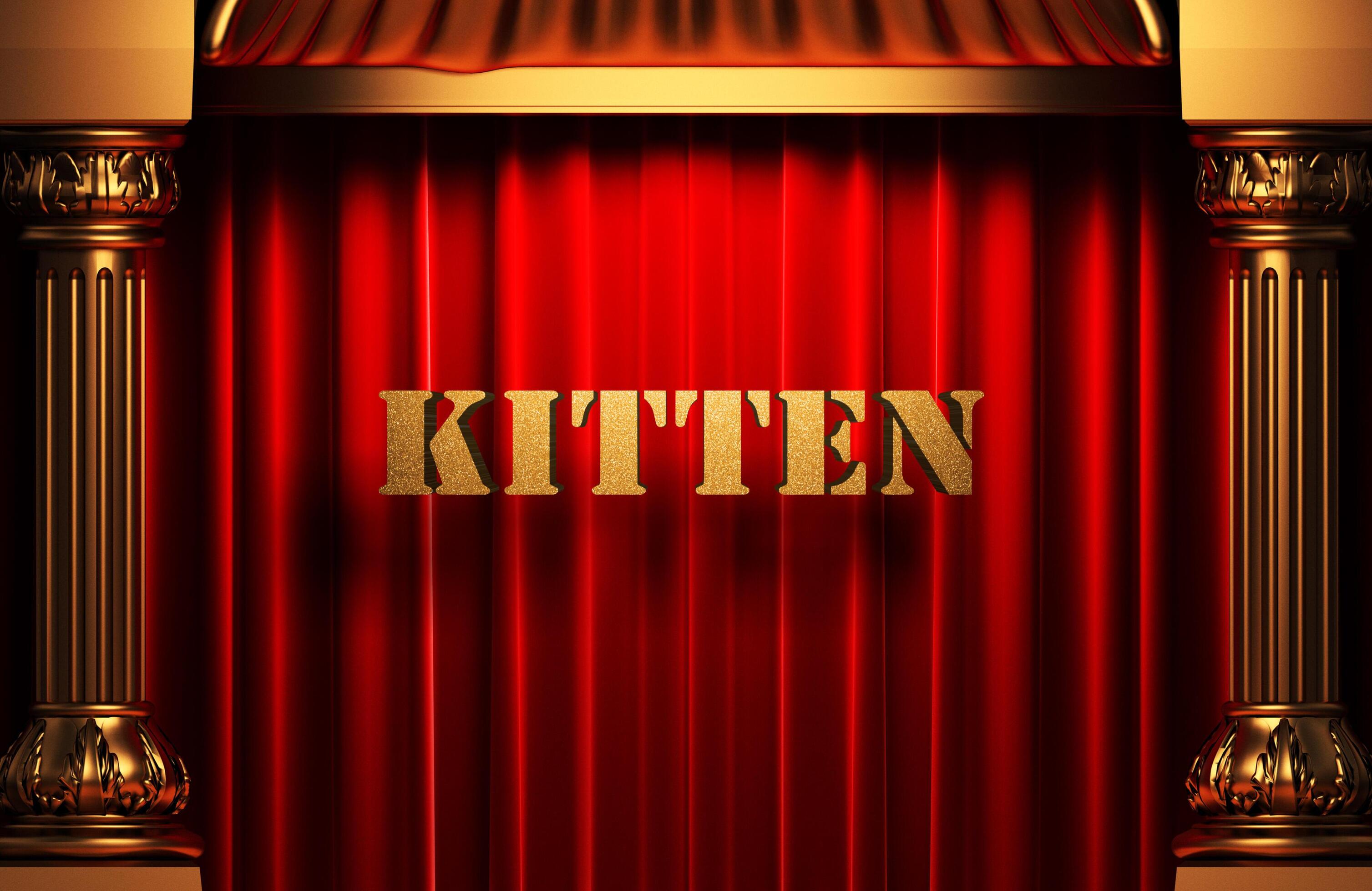 kitten golden word on red curtain 6280376 Stock Photo at Vecteezy