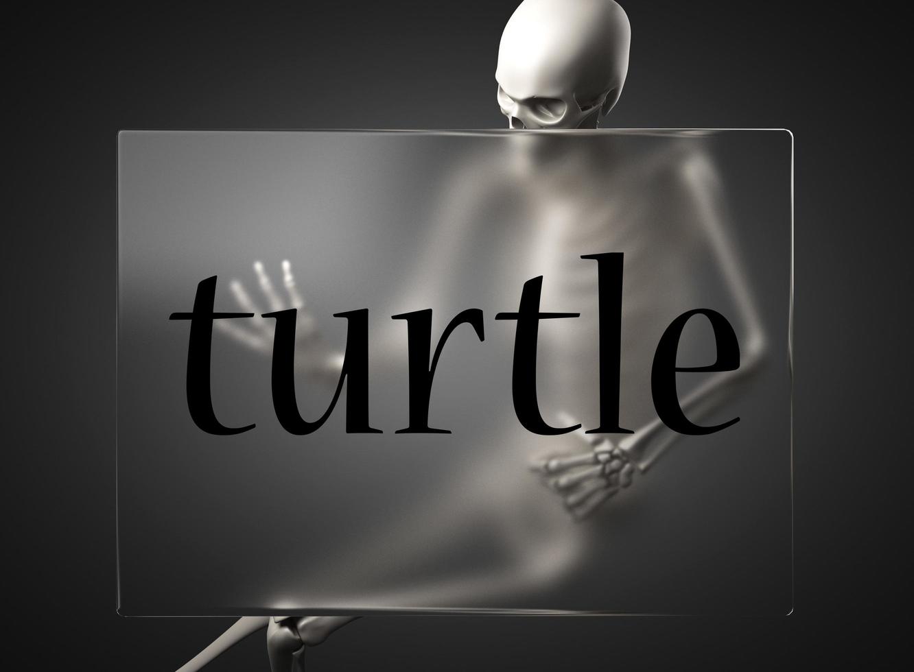 turtle word on glass and skeleton photo