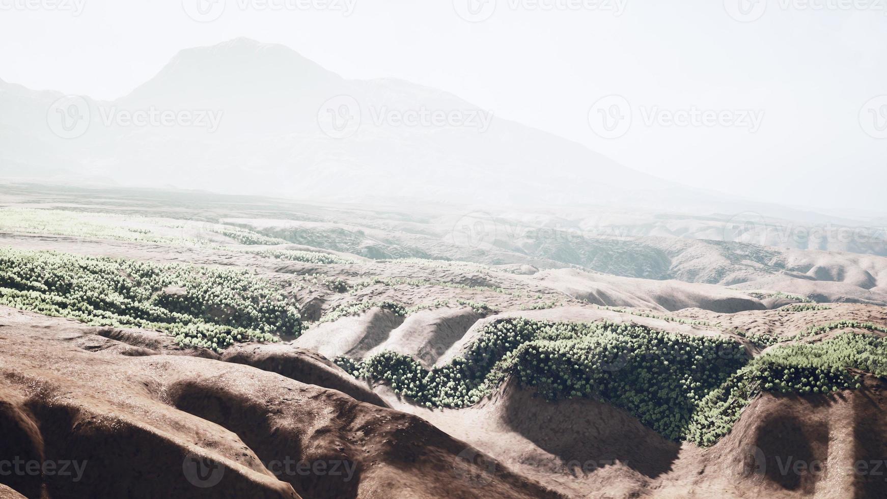 vista del desierto desde el avion foto