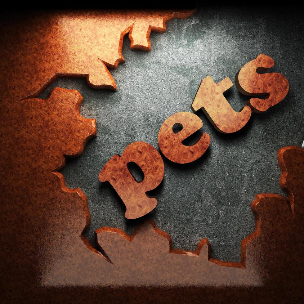 pets  word of wood photo