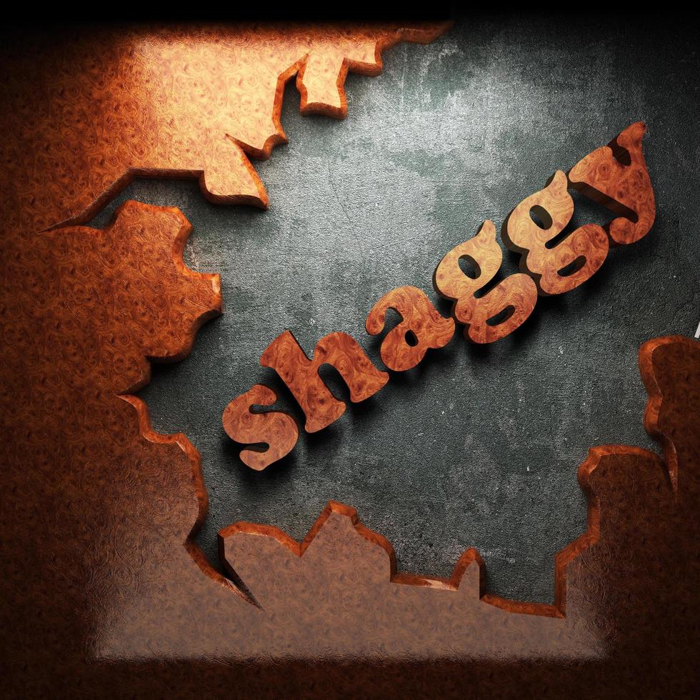 shaggy vector word of wood photo