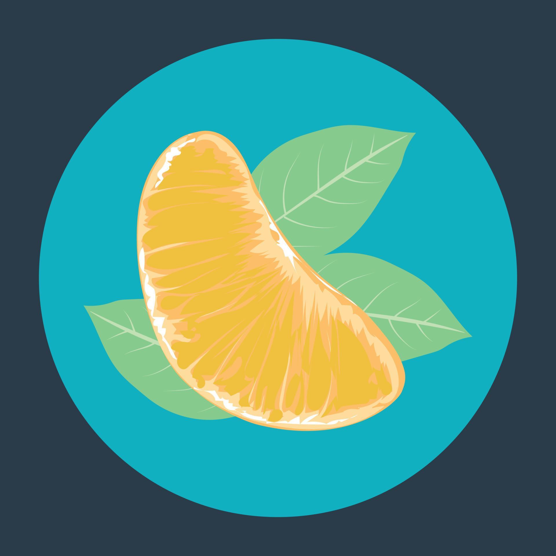 Trendy Orange Slice 6294923 Vector Art at Vecteezy