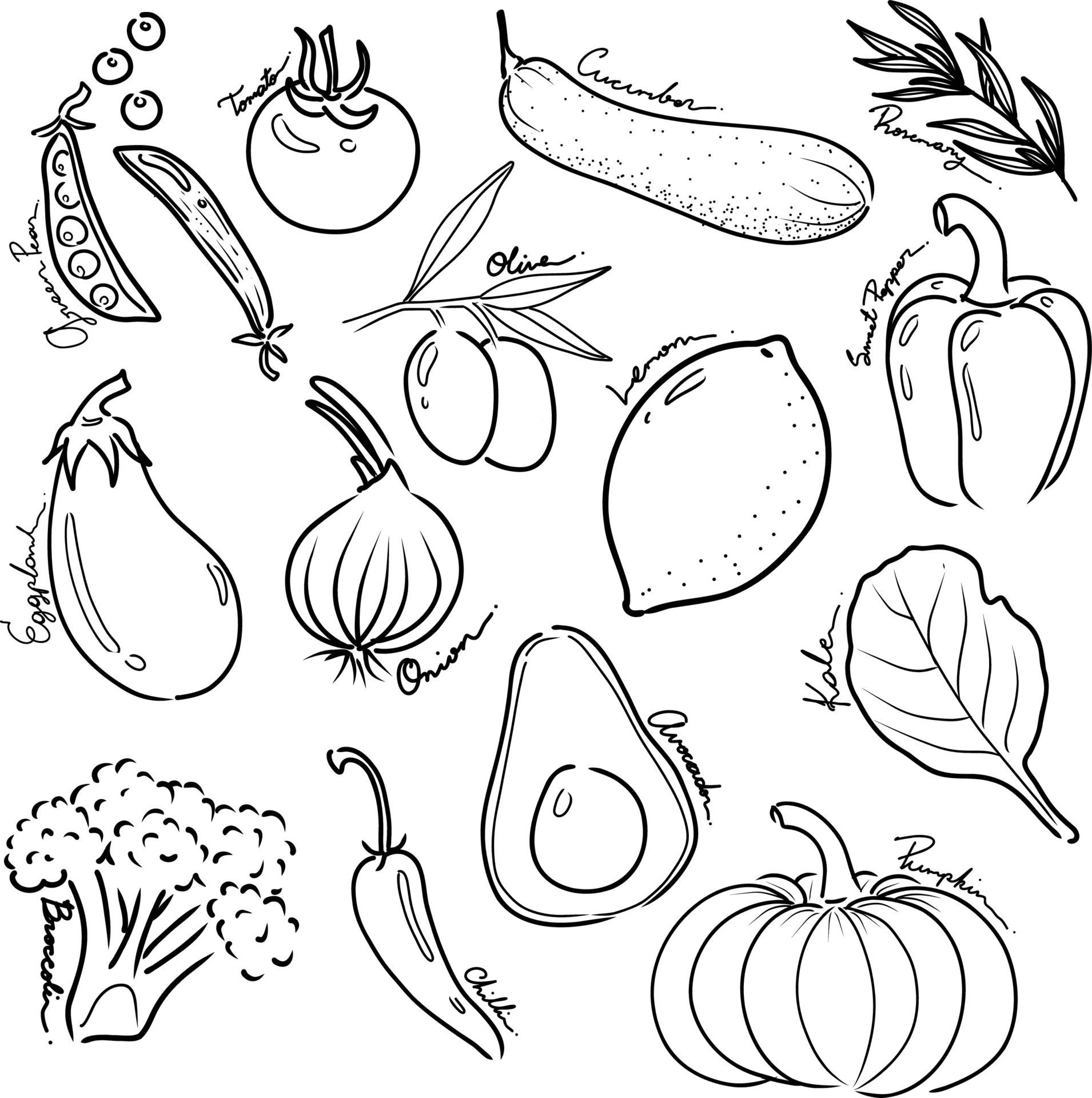 Fruits Outline Drawing Apple Vector Images over 3200