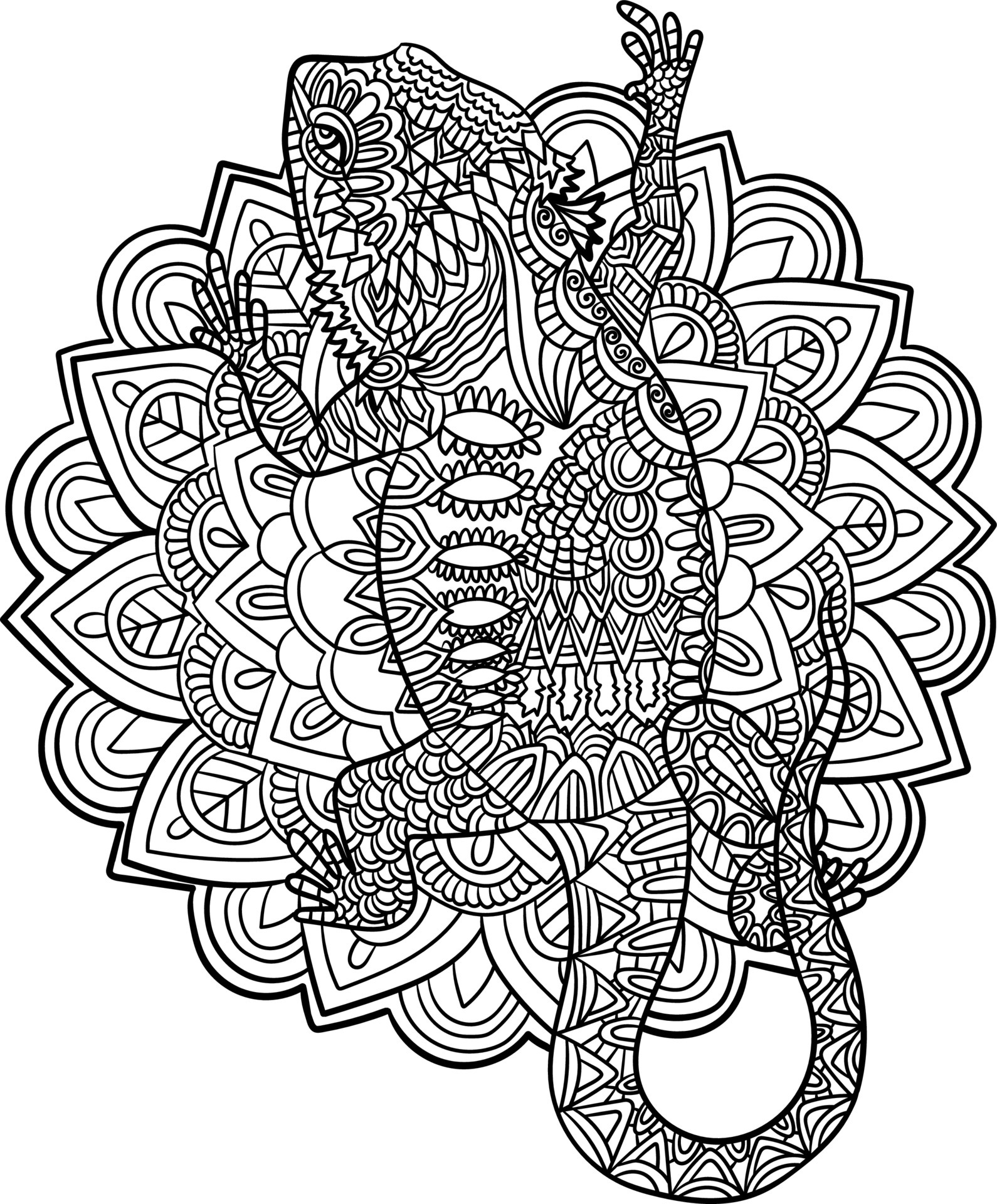 Bearded Dragon Mandala Coloring Pages for Adults 6296298 Vector Art at