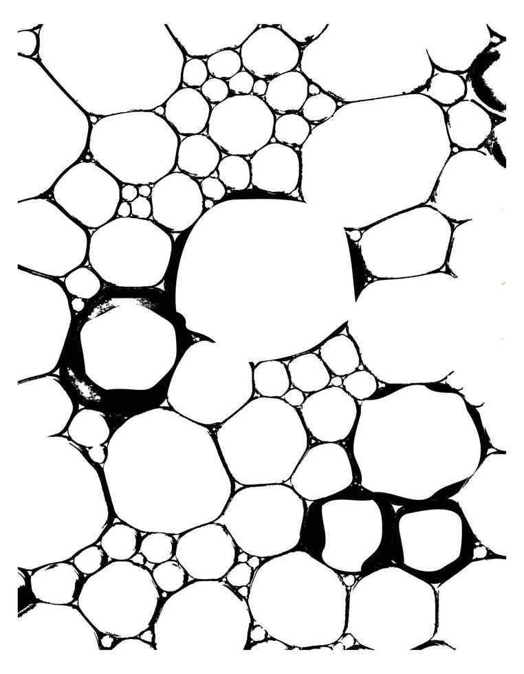 Oil Bubbles Outline Grunge Texture vector