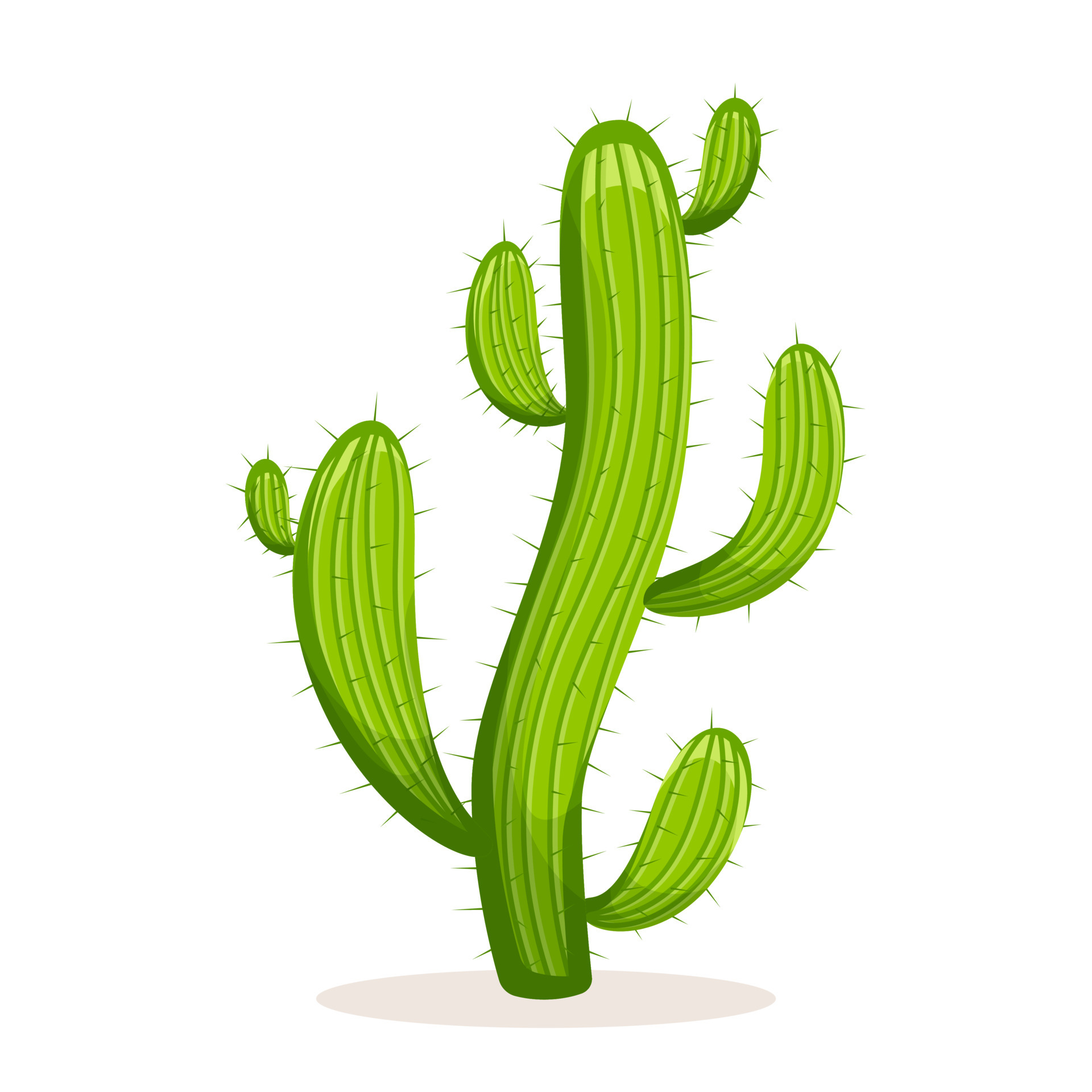 Plant Drawing Cactus Cartoon Cactaceae Hd Image Free - Cacto