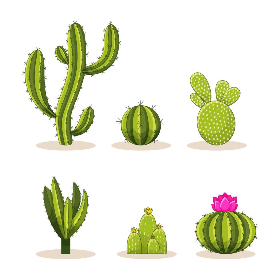 Set of Cacti with thorns and flowers. Mexican green plant cactus with spines. Element of the desert and southern landscape. Cartoon flat vector illustration. Isolated on white background