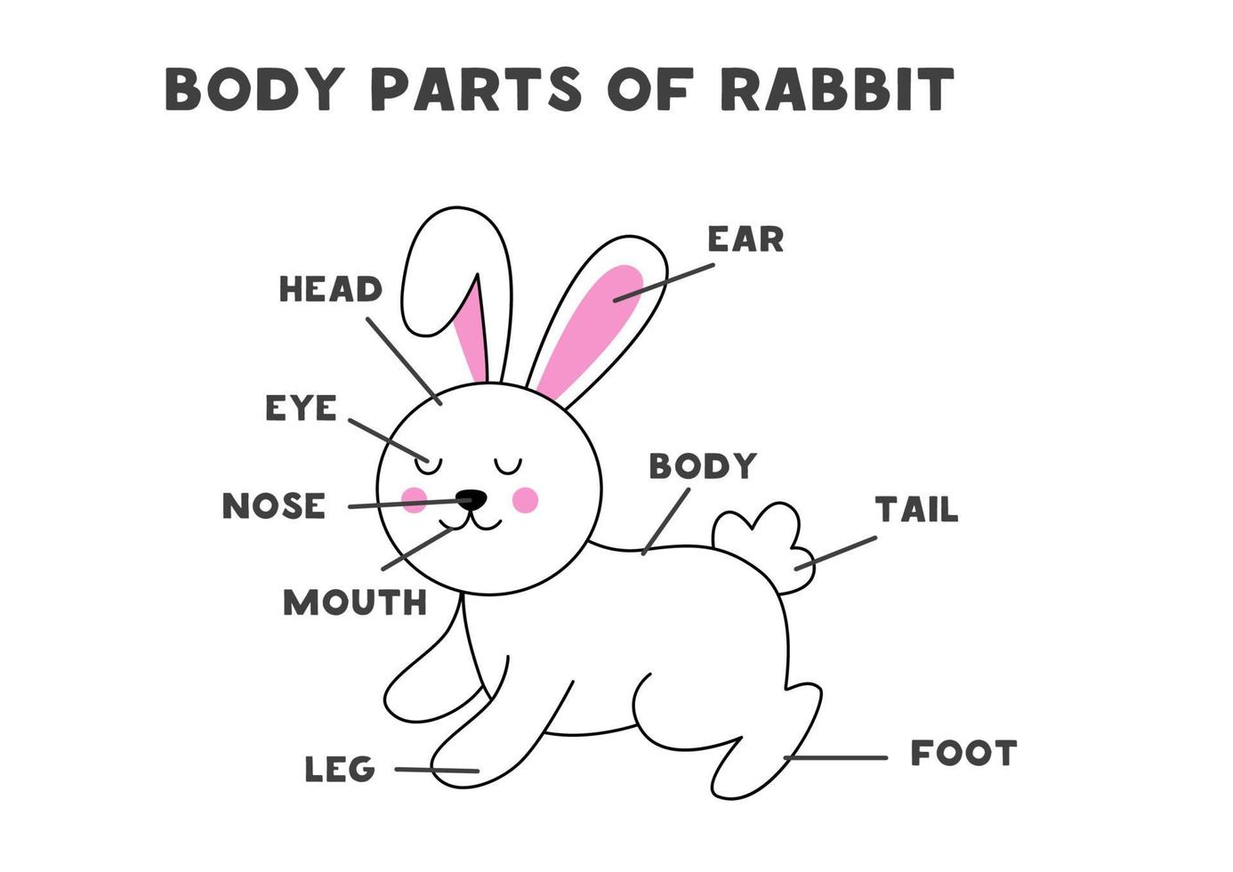 partes del cuerpo del conejo. esquema para niños. vector