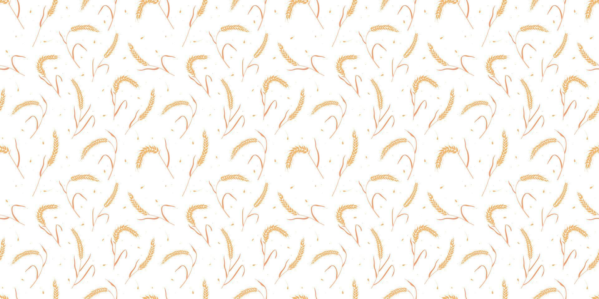 Seamless pattern with whole grain seeds organic, natural ears isolated on white background. vector