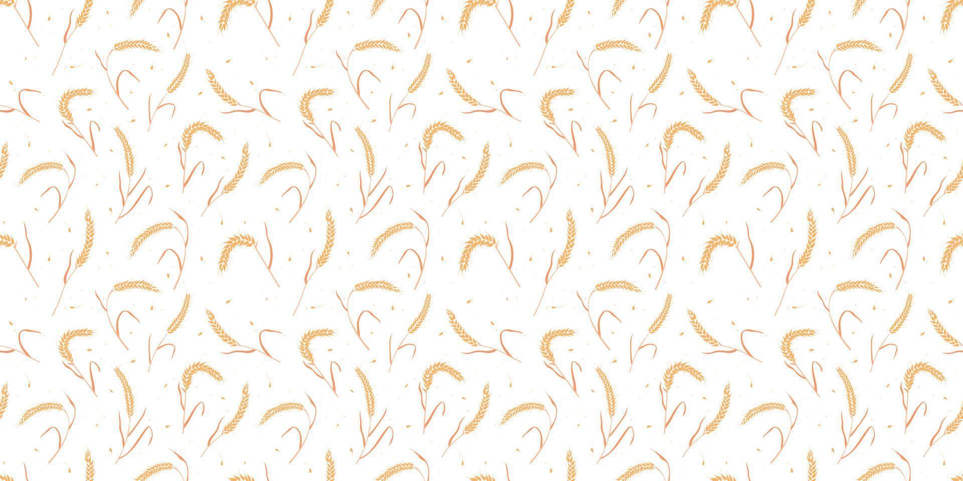 Seamless pattern with whole grain seeds organic, natural ears isolated on white background. vector