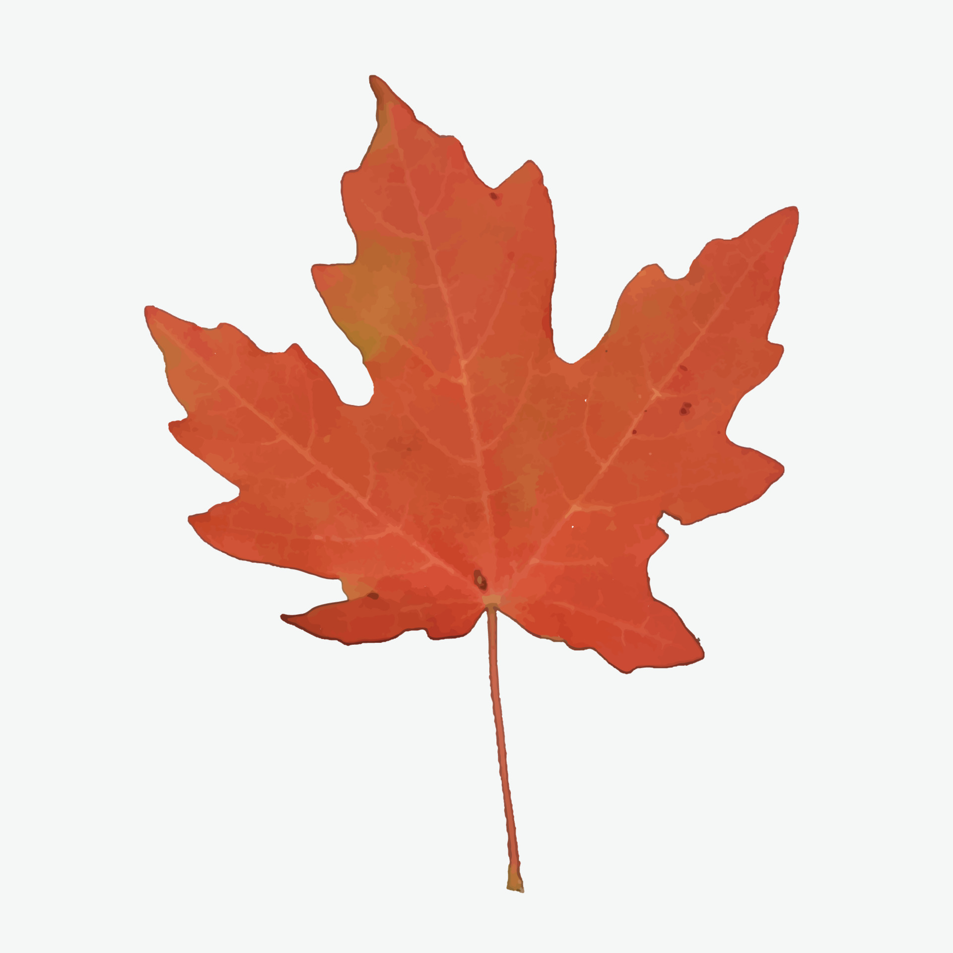 Lonely leaf of a plane tree 6298344 Vector Art at Vecteezy