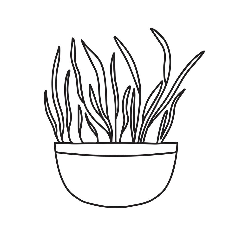 Pot of microgreens. Microgreens peas, radish, onion, arugula. sunflower, beets and others. Vector illustration isolated on white background. Doodle style.