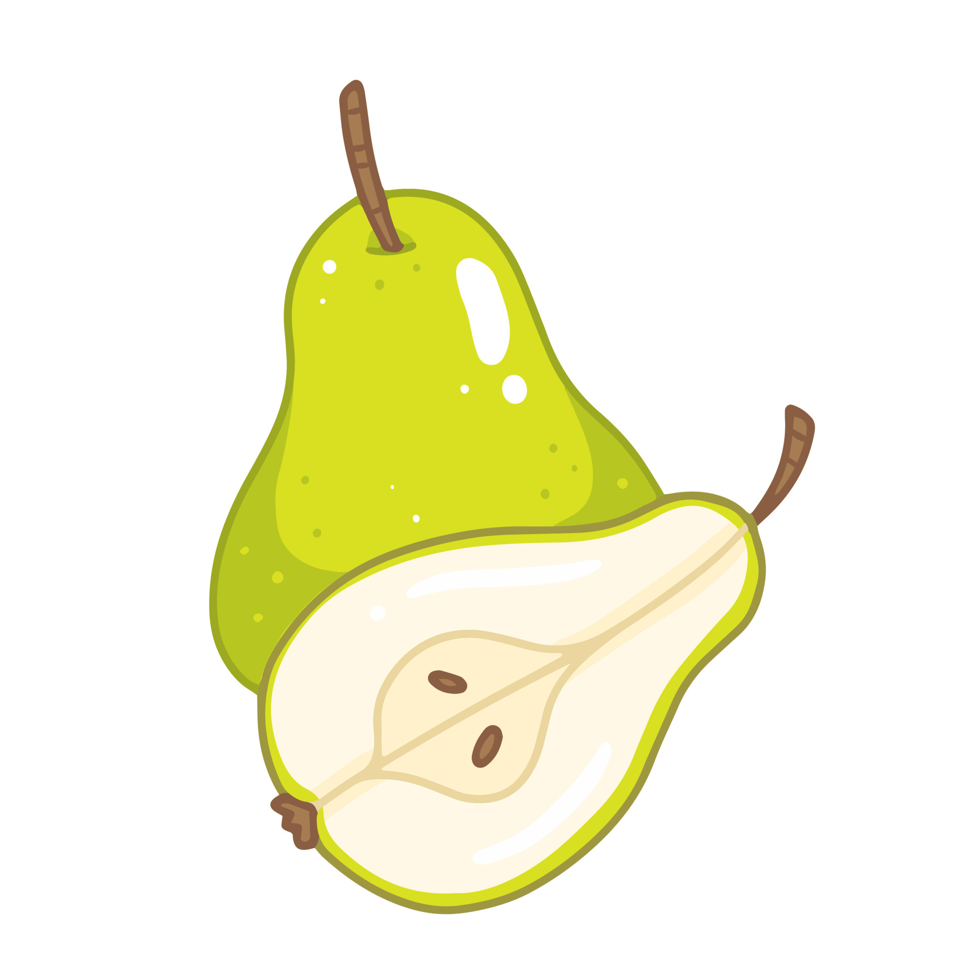 A whole pear with a half cut pear in cartoon style. Vector isolated