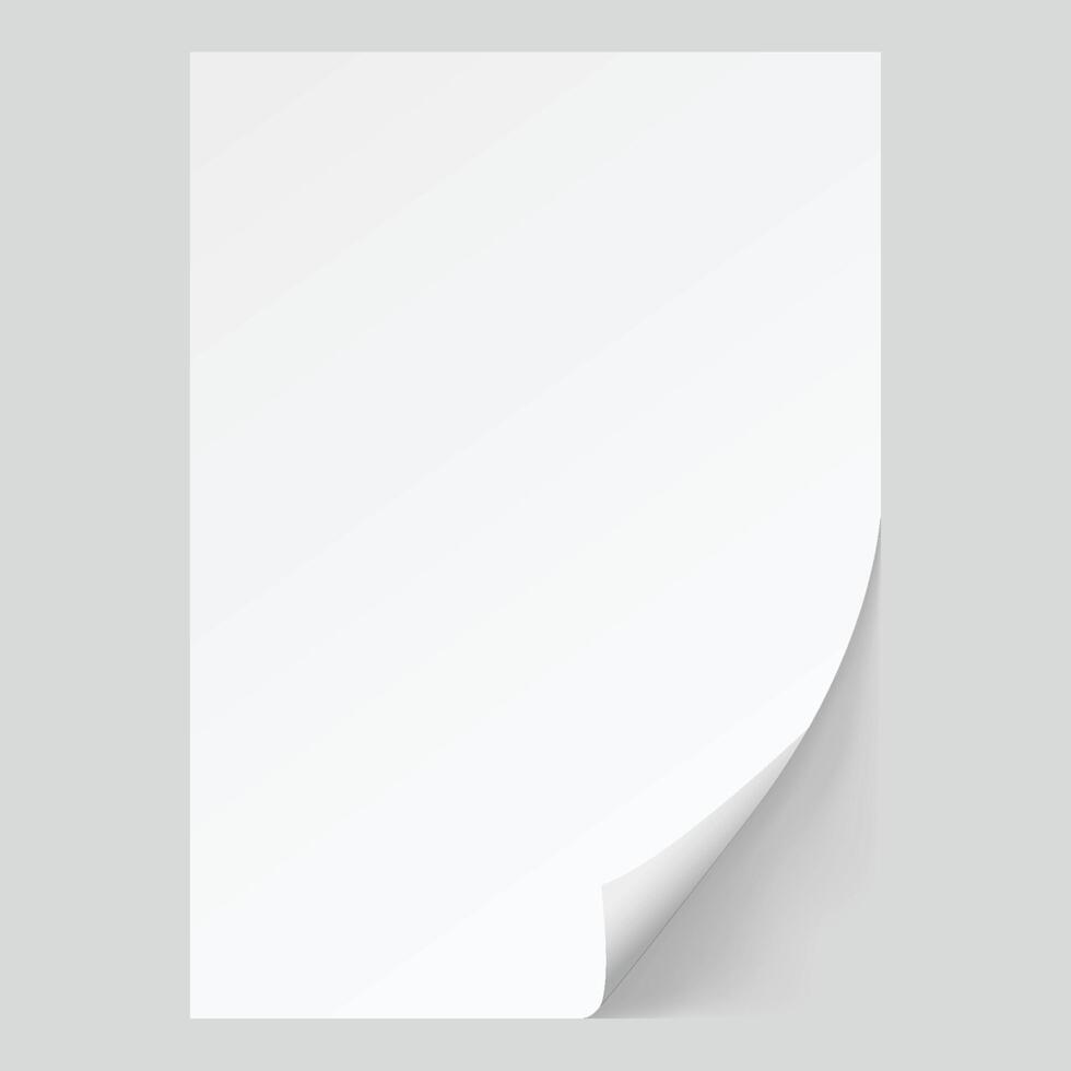 White sheet of paper.Realistic vector on white background eps10