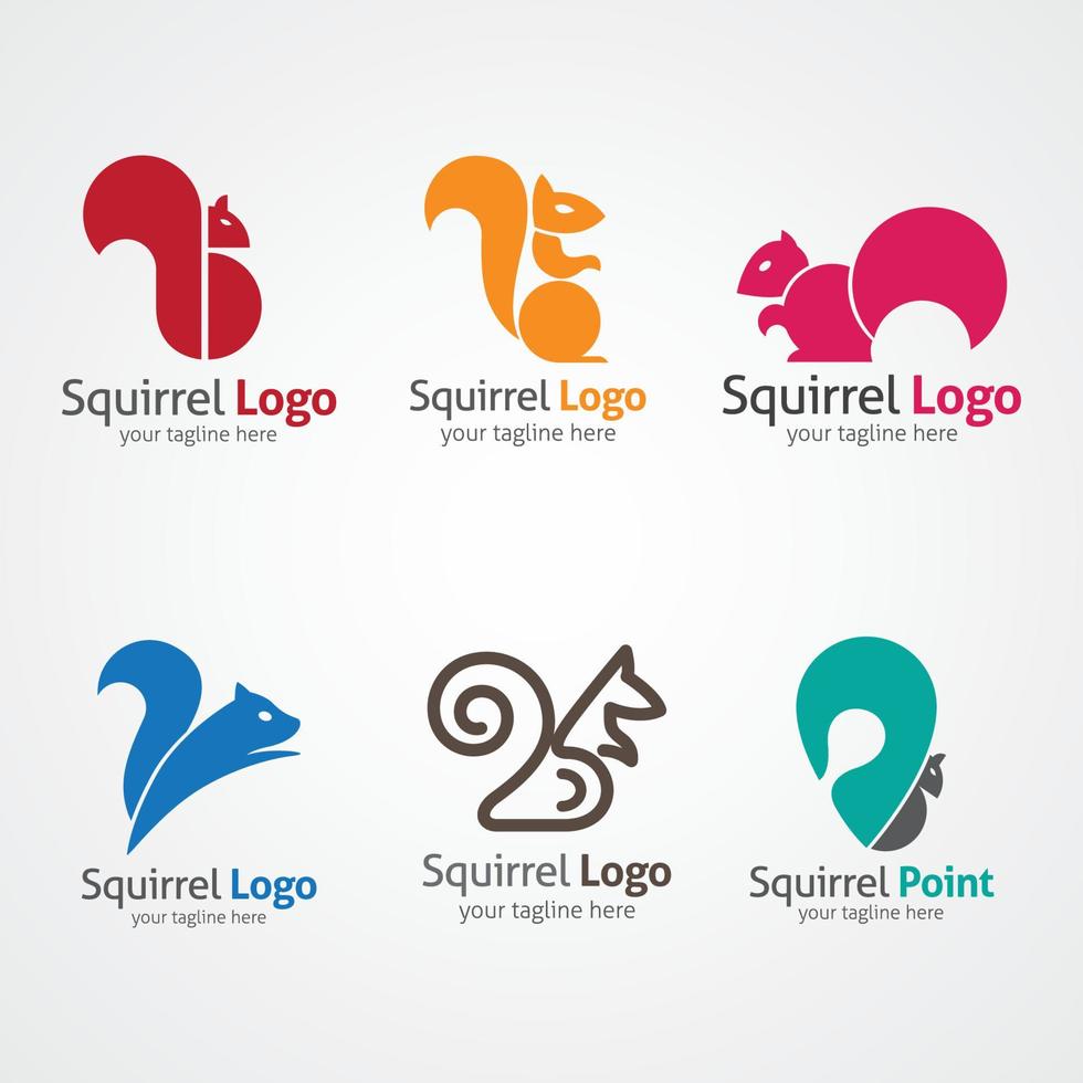 Squirrel logo design template. Vector Illustration