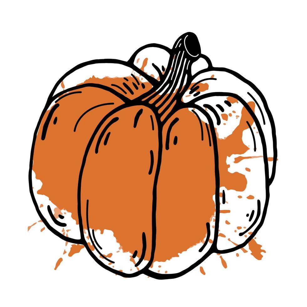 Pumpkin vector icon. Vector icon isolated on white background. Black contour of a vegetable with a colored abstract spot. Pumpkin outline. Color drop on line art. Halloween doodle. Food sketch.