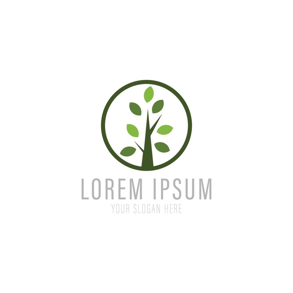 Tree vector icon. Nature trees and leaf vector illustration logo design.