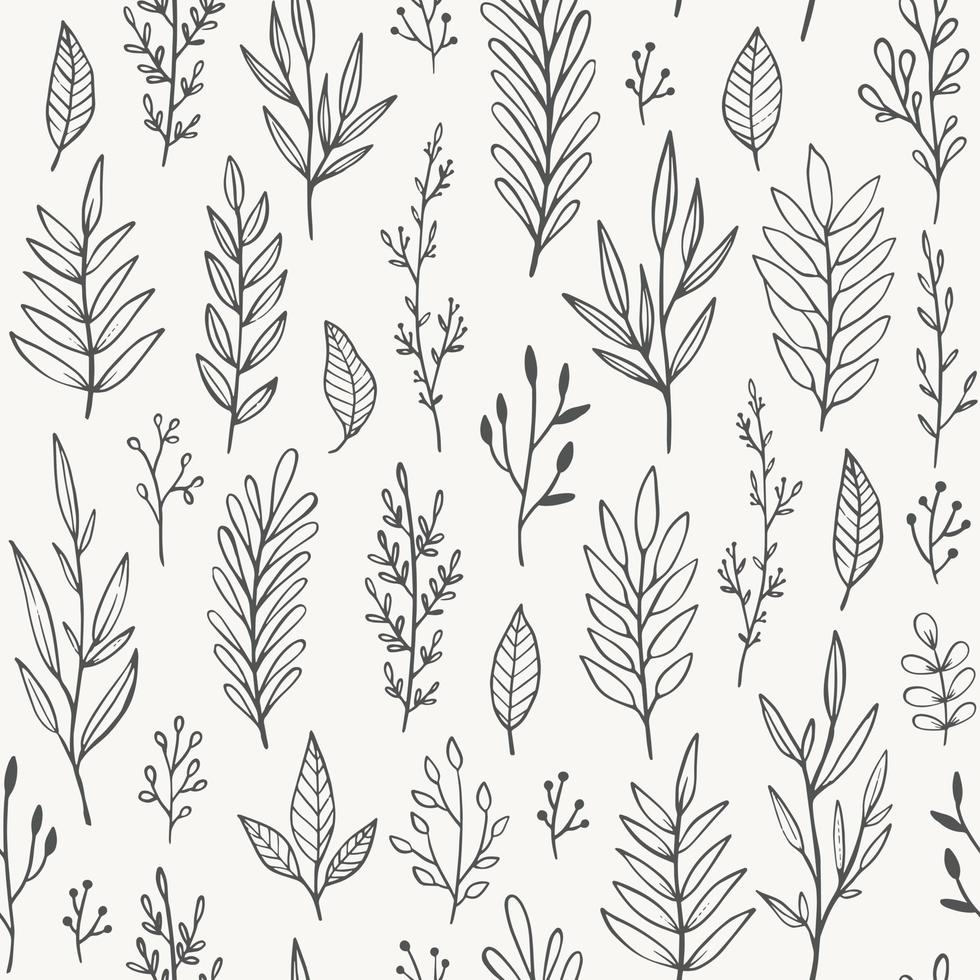 Hand drawn plants, branches, leaves seamless pattern. Vintage romantic vector background.