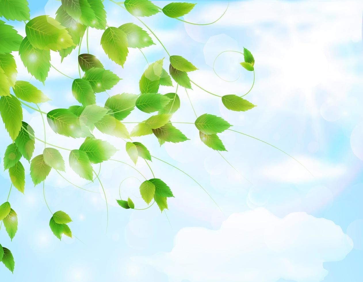 Spring background with fresh green leaves.Vector vector