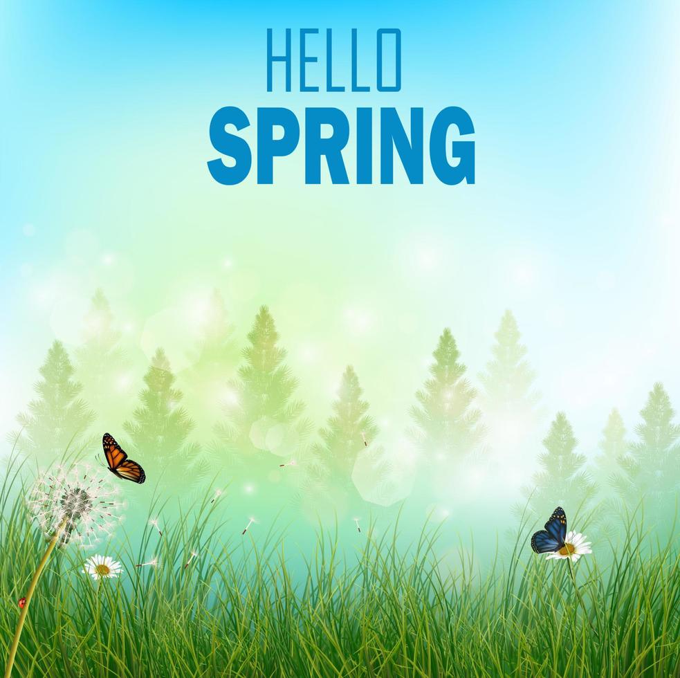 Spring background with flowers and butterflies in meadow and pine trees vector