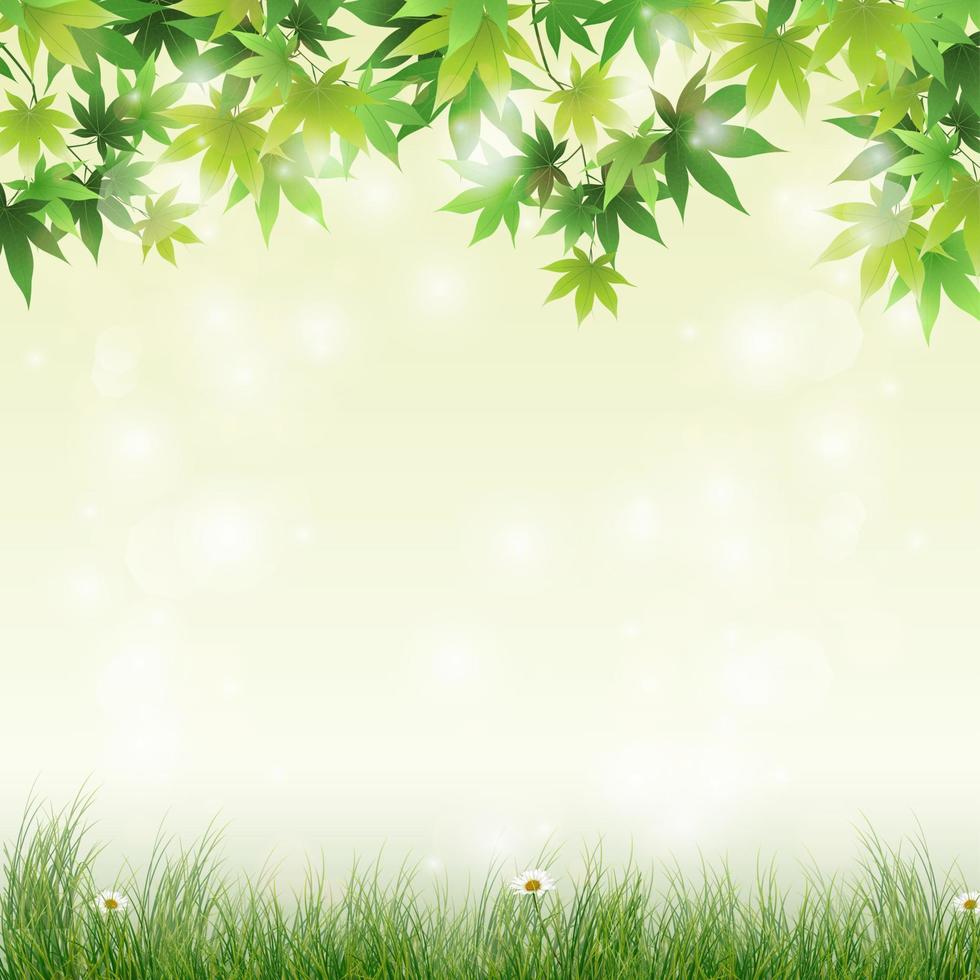 Spring meadow with green leaves background vector