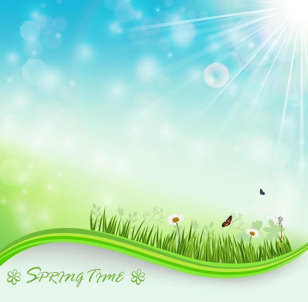 Springtime meadow background with flowers and butterflies.Vector vector