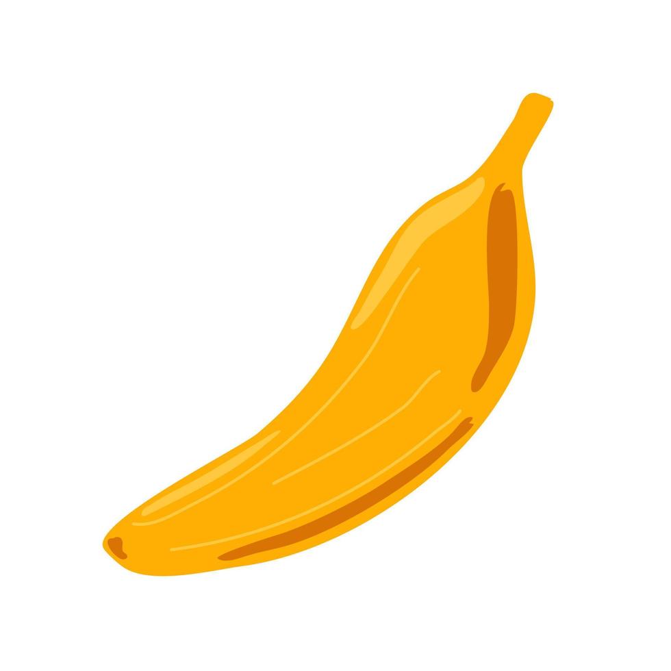 Ripe whole yellow banana on a white background. vector