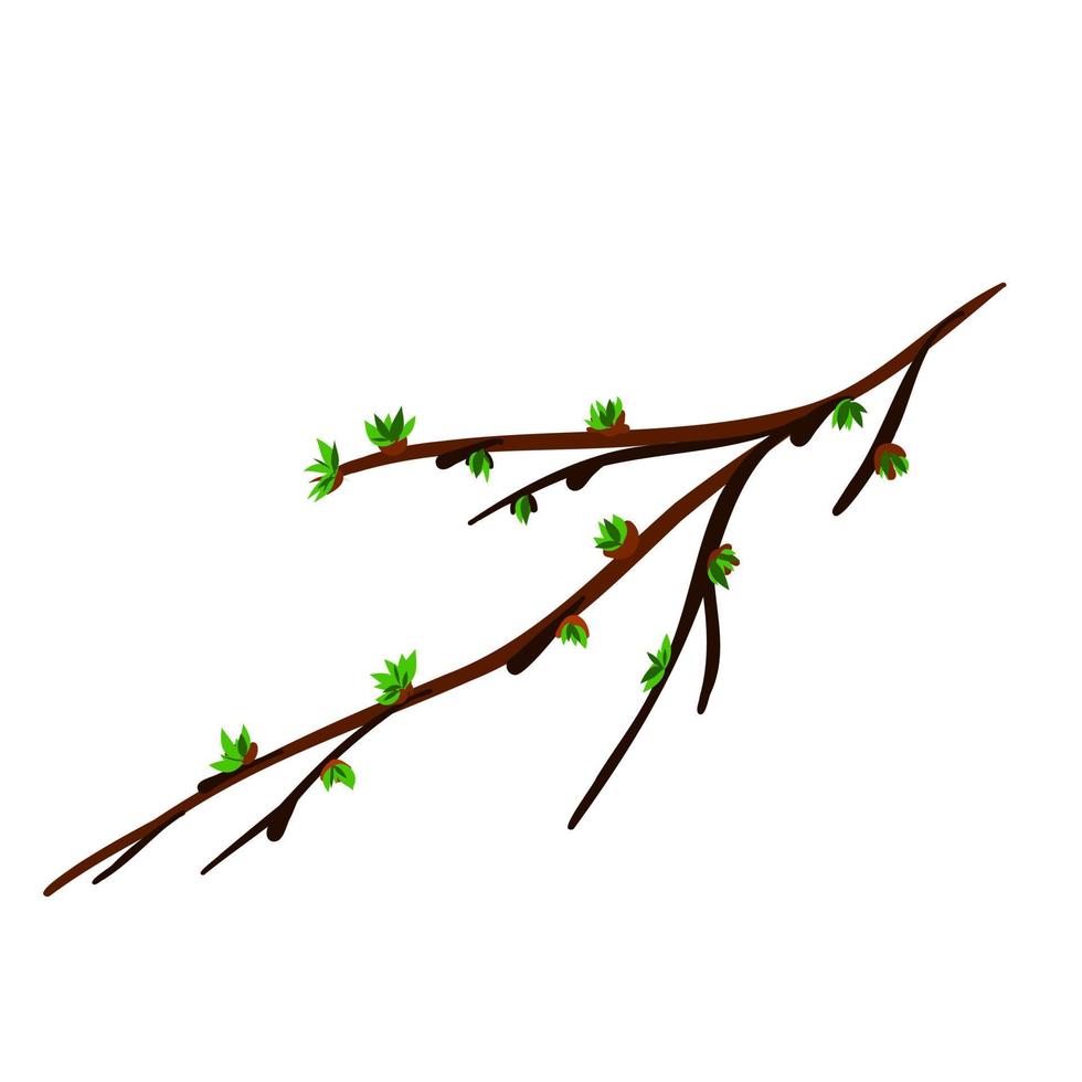 A spring twig with budding leaves. vector