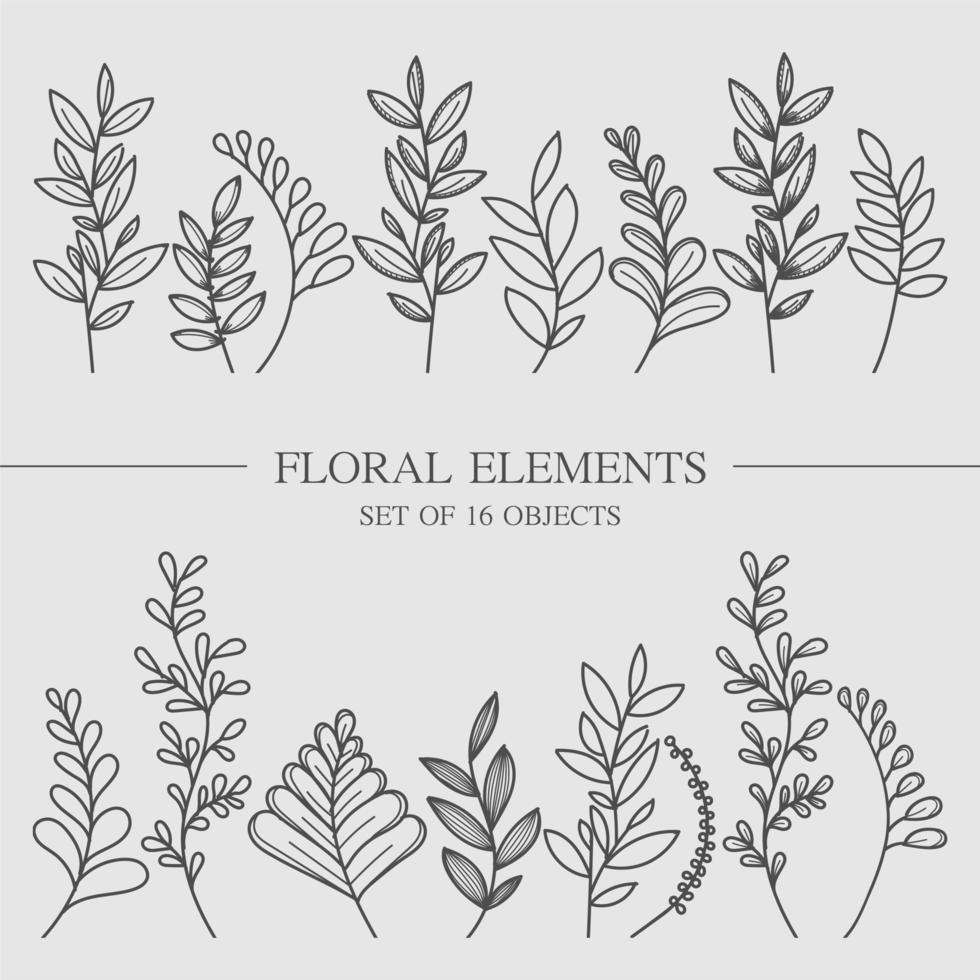 Flower collection of branches of leaves and botany. For wedding invitations, postcards, posters, labels of cosmetics and perfumes, packaging paper. Vector illustration