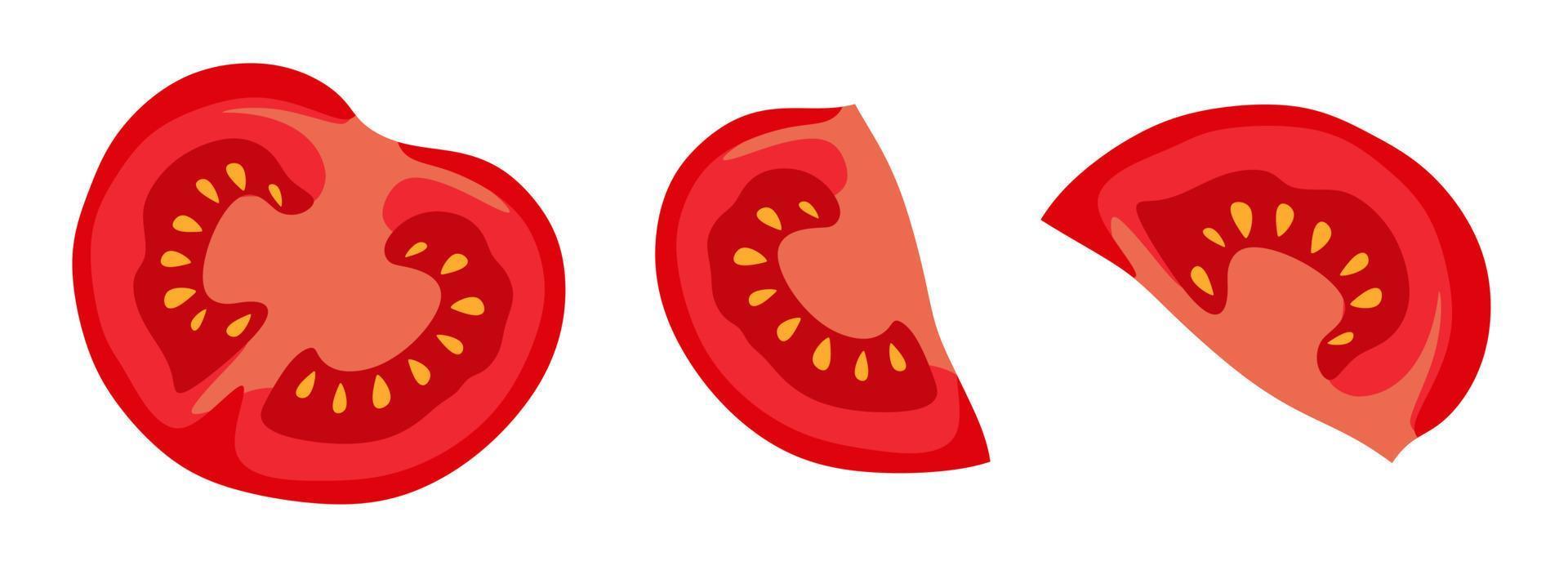 rodajas de tomate en la sección de varios ángulos. ilustración vectorial un concepto para pegatinas, afiches, postales, sitios web y aplicaciones móviles. vector