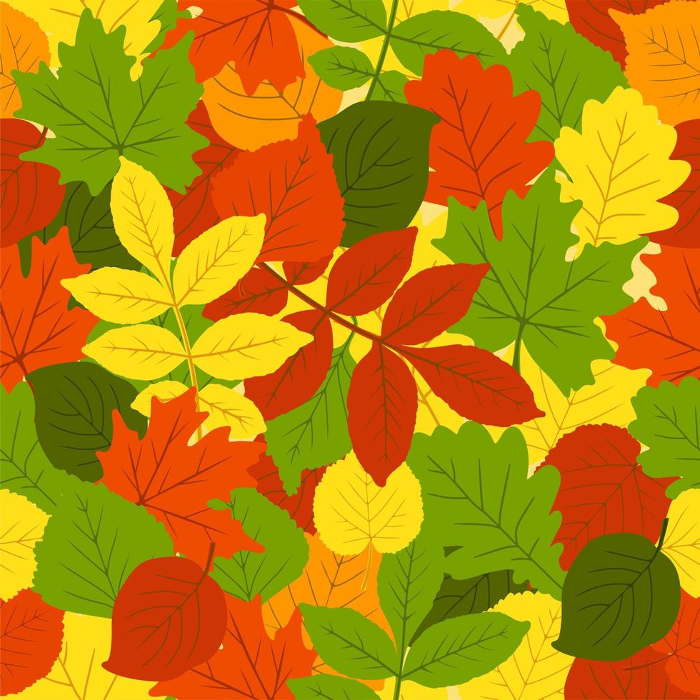 The pattern is fashionable on an autumn theme. The leaves are oak, birch, aspen, maple. Space for copying. Applicable for printing, posters, postcards, websites. Vector illustration.