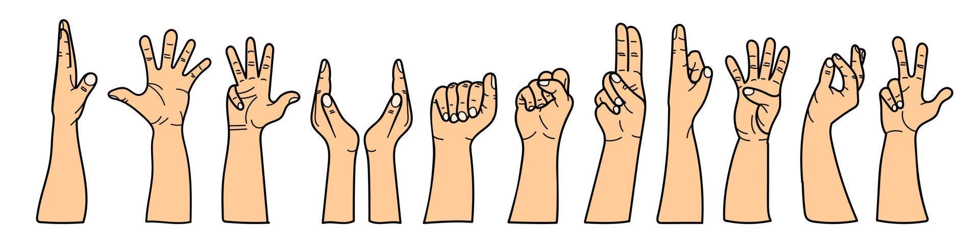 Hands with different gestures set. For use on textiles, packaging paper, souvenirs, printing, posters, postcards. vector