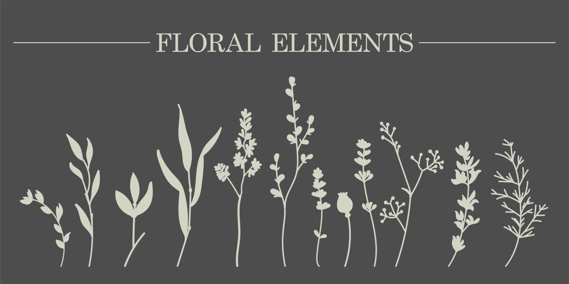 Hand-drawn sketch of vector plant elements of laurels, leaves, flowers, branches. Suitable for invitations, greeting cards, quotes, blogs, wedding frames, posters. Vector illustration