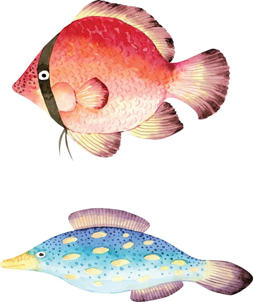 Set of red and blue fishes, hand painted watercolor illustrations. vector