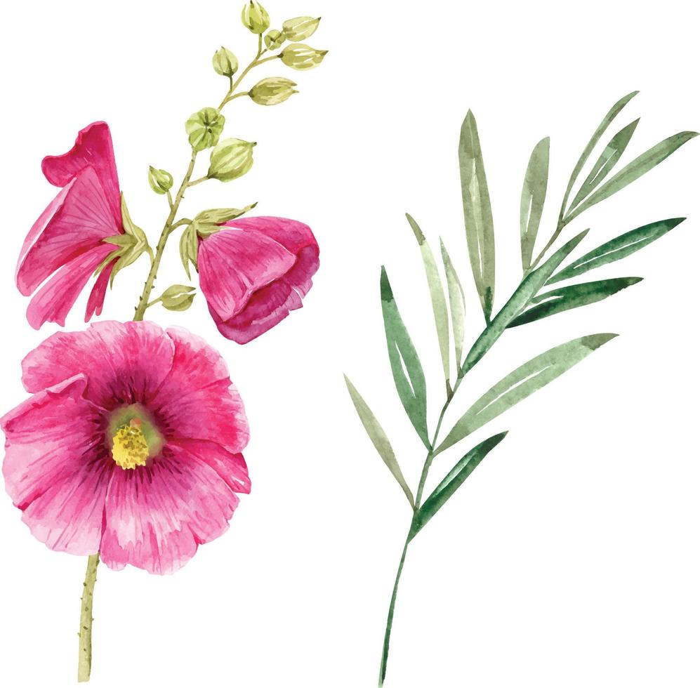 Set of watercolor plants and flowers. vector