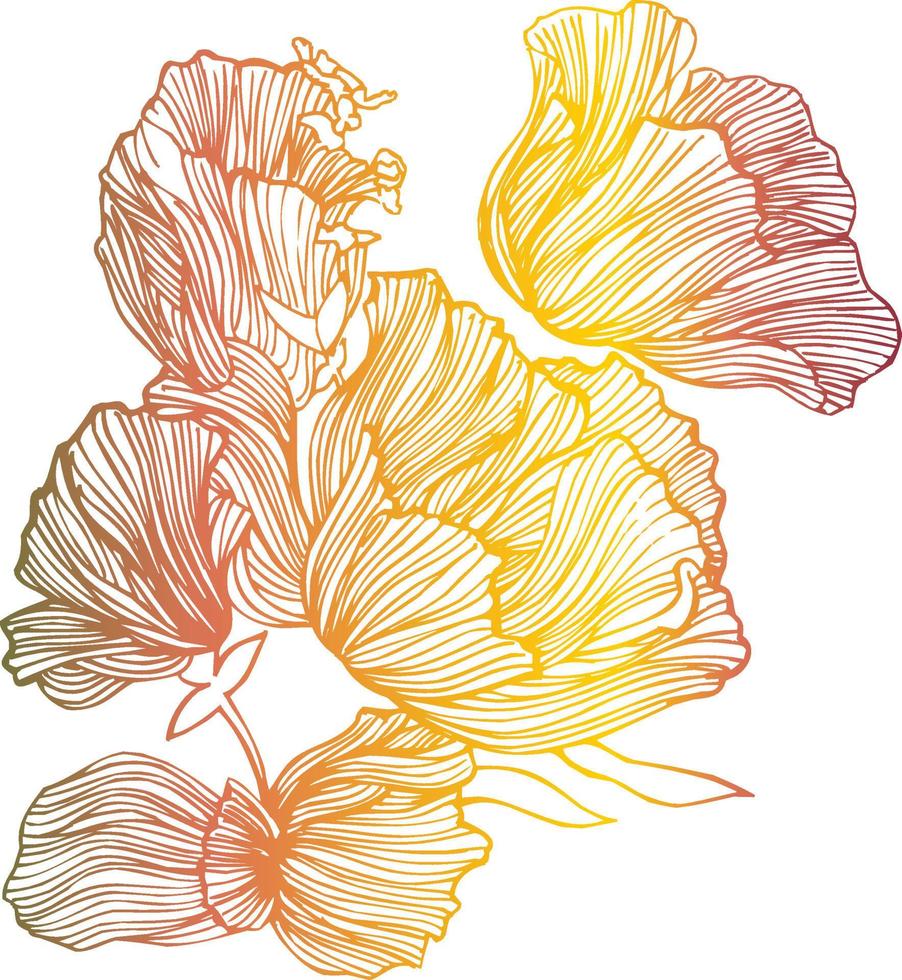 flor colorido línea ramo manojo florales vector