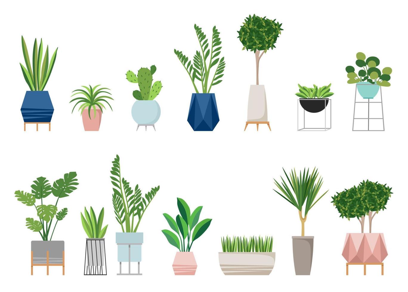 A set of stylish fashionable indoor plants for the house. Isolated on a white background. Dracaena, monstera, boxwood, chlorophytum, spatifilum, ficus benjamin, pineapple, zamiokulkas. vector