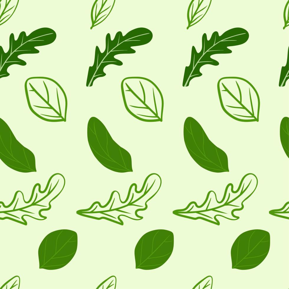 patrón de hojas de rúcula y albahaca sobre un fondo verde claro. para uso en textiles, papel de embalaje, souvenirs, impresión, carteles, postales. vector