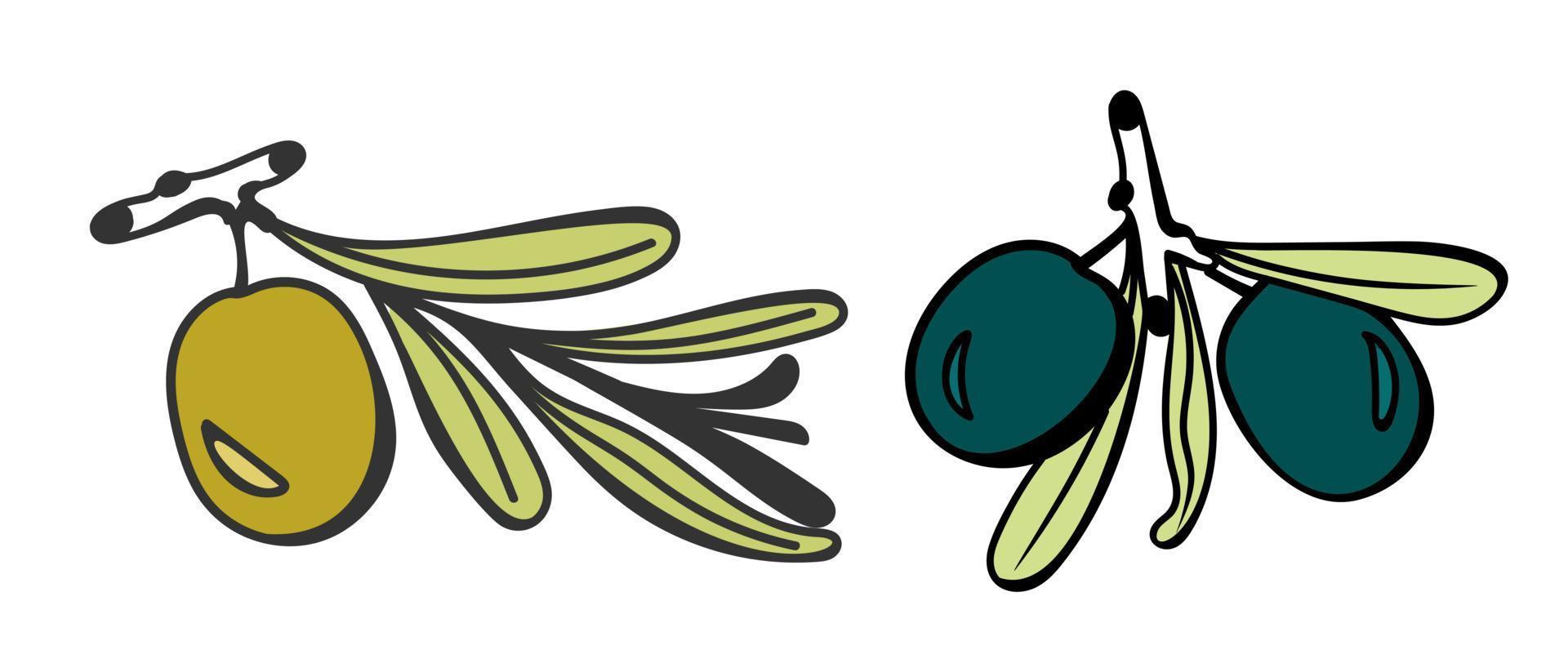 Olives on a branch are hand-drawn in the style of a doodle. For use on textiles, packaging paper, souvenirs, printing, posters, postcards. vector