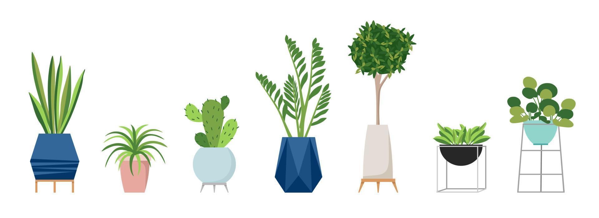 un conjunto de elegantes plantas de interior de moda para la casa. Aislado en un fondo blanco. dracaena, monstera, boj, clorofito, spatifilum, ficus benjamin, piña, zamiokulkas. vector