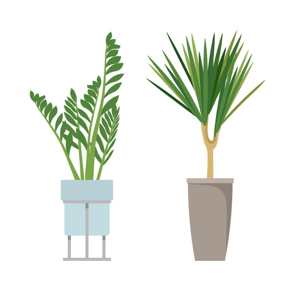 A set of stylish fashionable indoor plants for the house. Isolated on a white background. Dracaena, monstera, boxwood, spatifilum, ficus benjamin, pineapple, zamiokulkas. Color flat vector