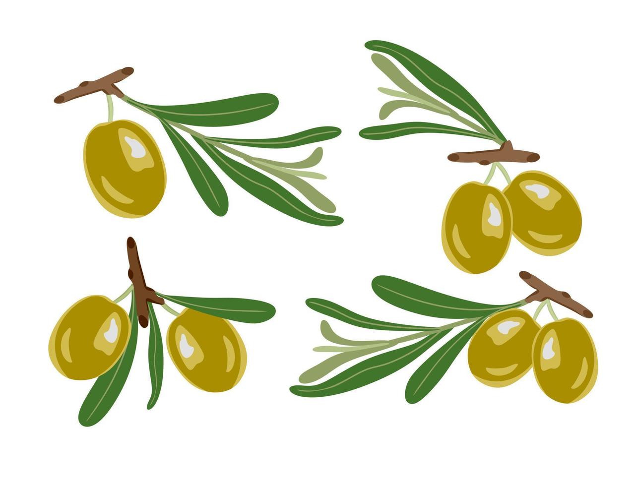 Olives on a branch set. Vector illustration. A concept for stickers, posters, postcards, websites and mobile applications.