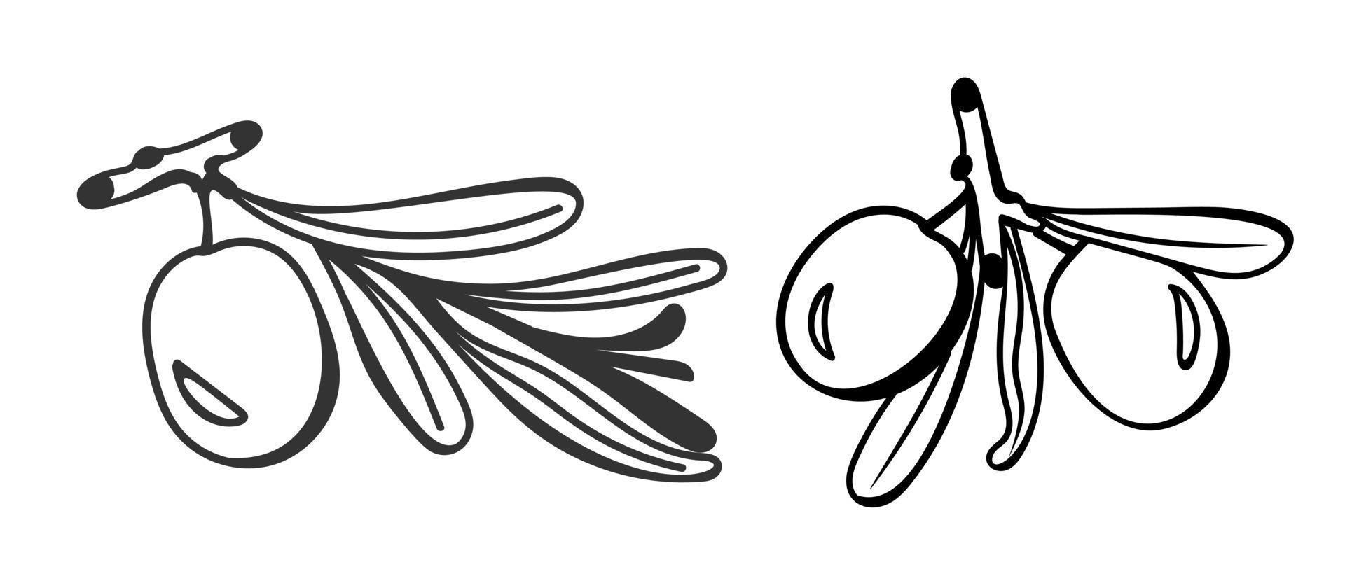 Olives are a black and white hand-drawn drawing in the doodle style. For use on textiles, packaging paper, souvenirs, printing, posters, postcards. vector
