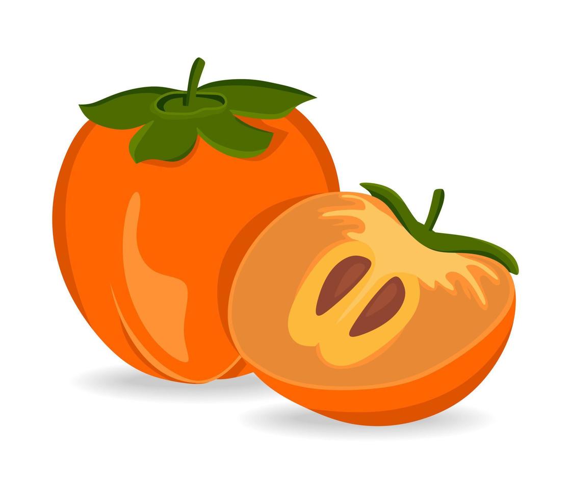 Persimmon, vector illustration isolated on a white background. A concept for stickers, posters, postcards, websites