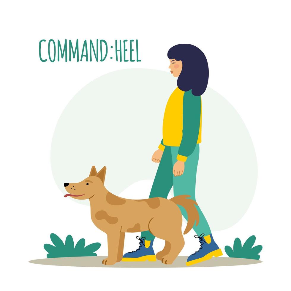 People training their pet dog set. The pet executes the command to lie down. The training process. Editable vector illustration Editable vector illustration