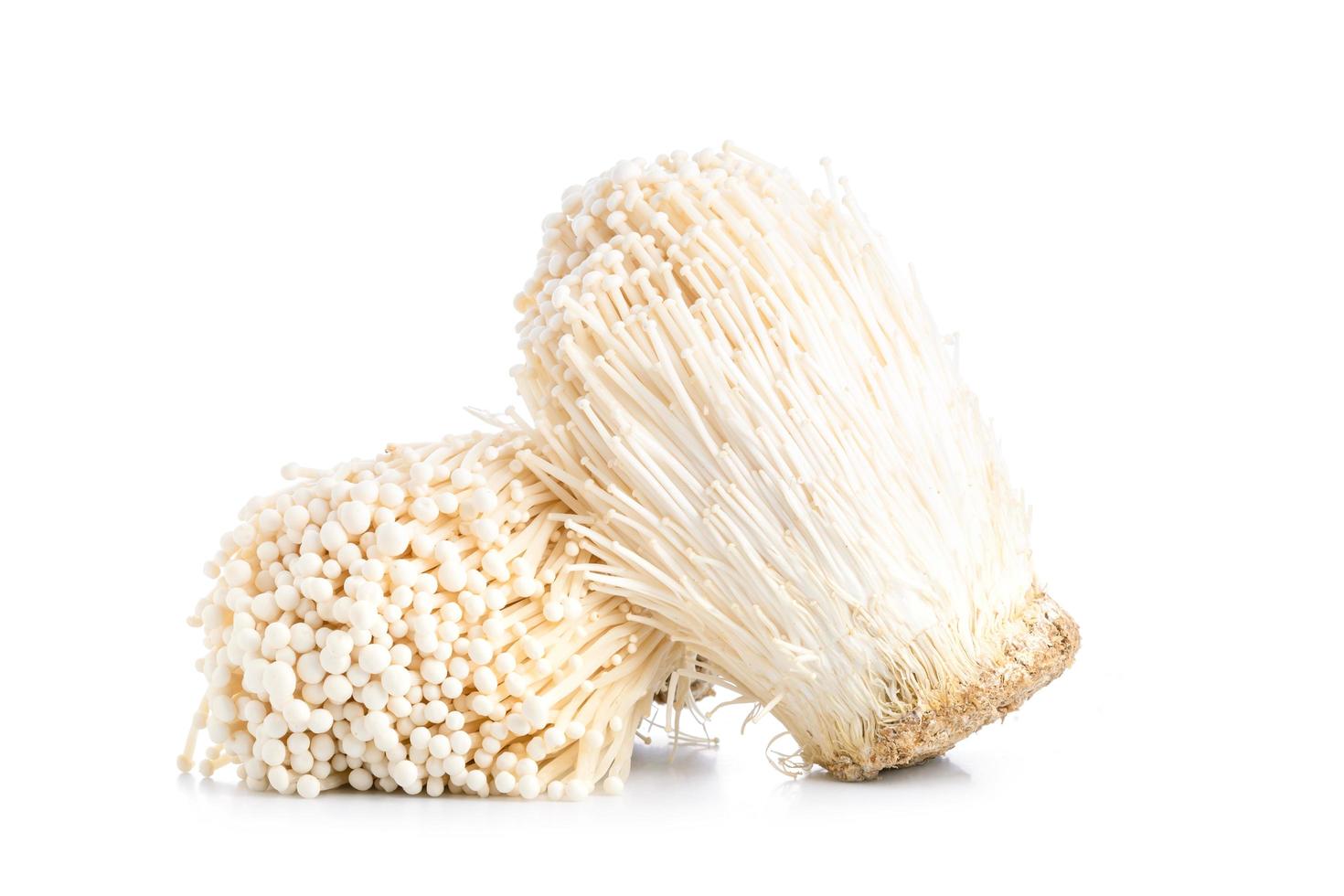 White fresh golden needle mushroom or enoki mushroom isolated on white photo